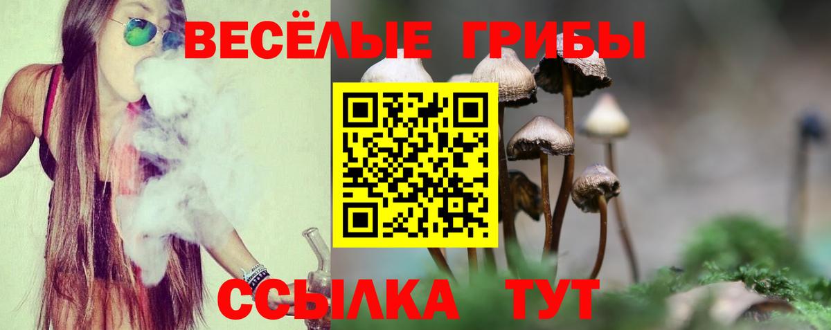 Галлюциногенные грибы мухоморы Вязьма
