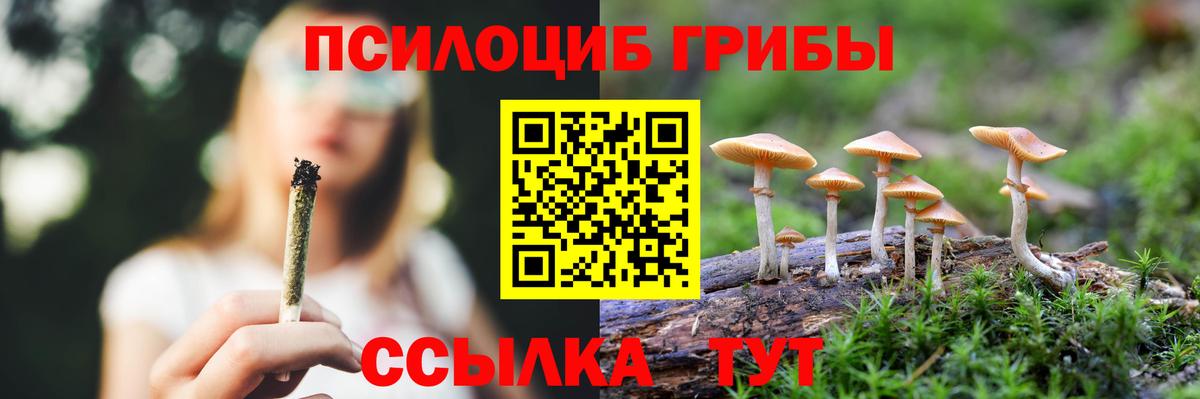 Галлюциногенные грибы MAGIC MUSHROOMS  Вход с VPN  Вязьма 